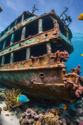 Artificial Reef shipwreck