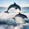 Incredible Dolphin Moments | BBC Earth