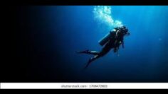 Mombassa Reef Dive